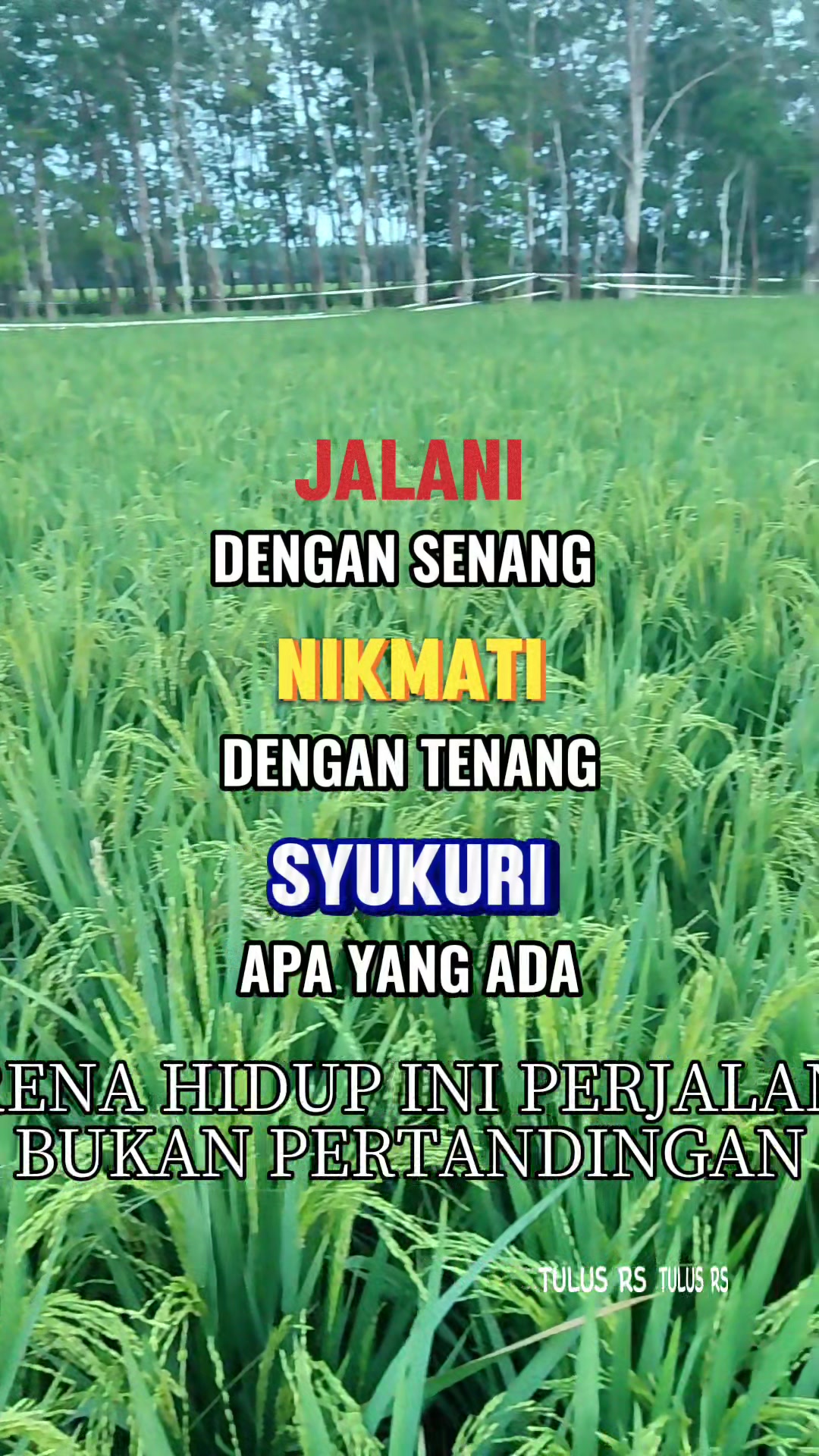 @Tohirin Cell87