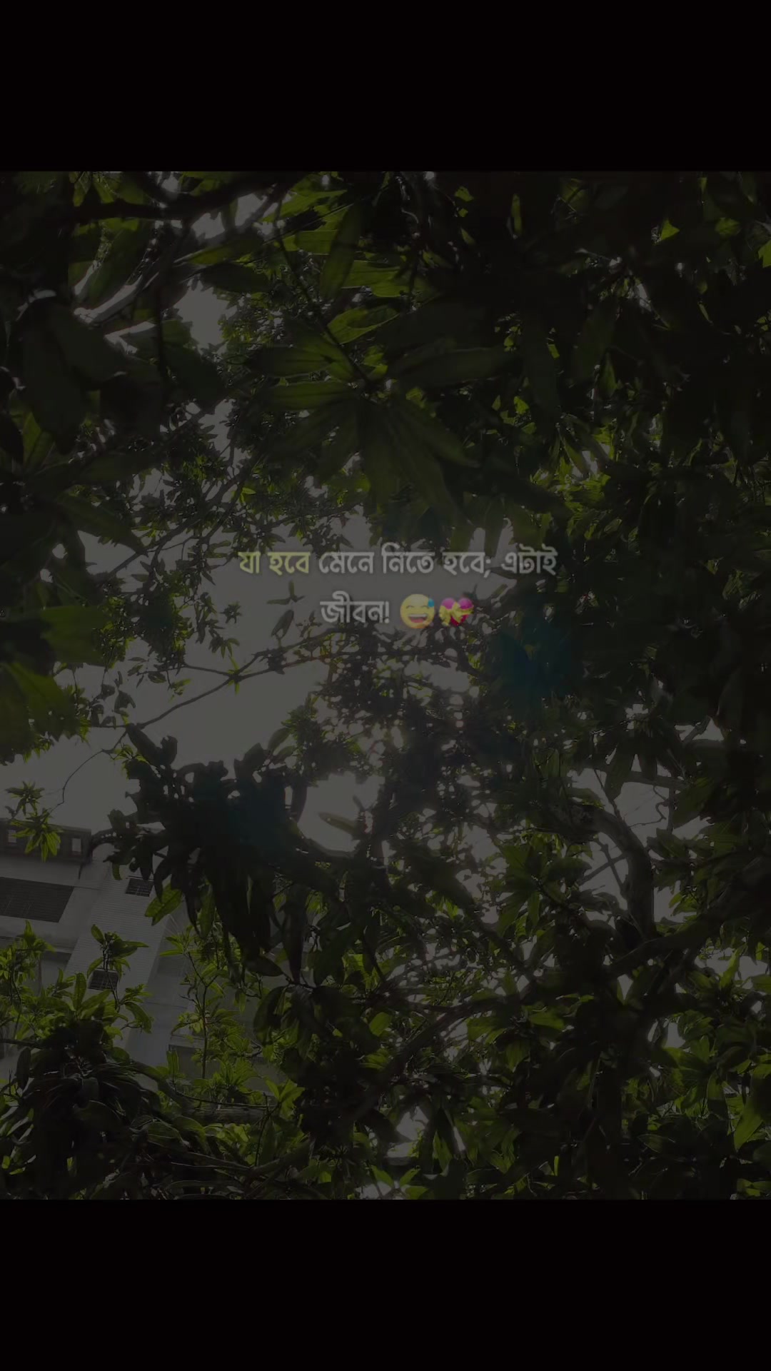 @🍒 𝕔 𝕙 𝕖 𝕣 𝕣 𝕪 🍒