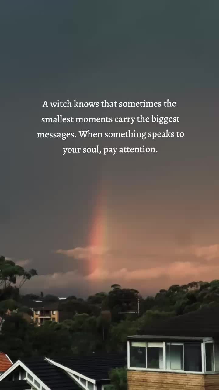 @modernwitchery444