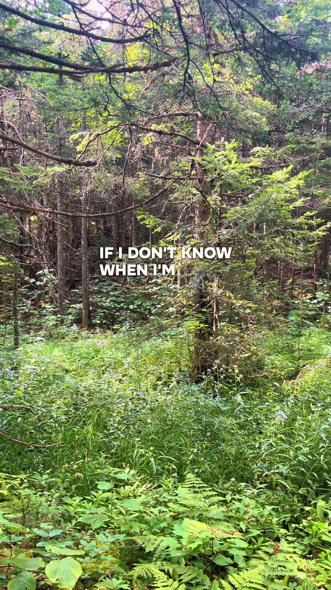 @Jen 🌿