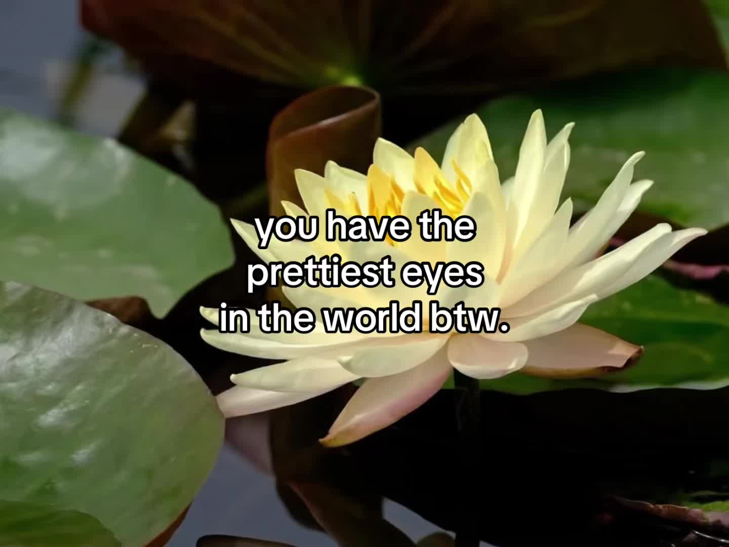@flowercorrre