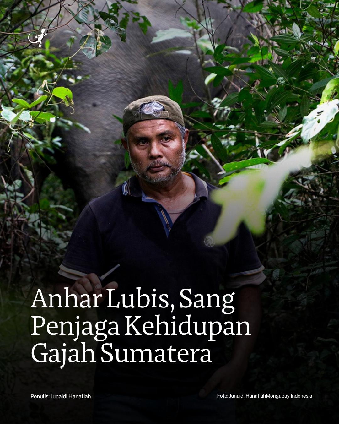 @mongabayindonesia