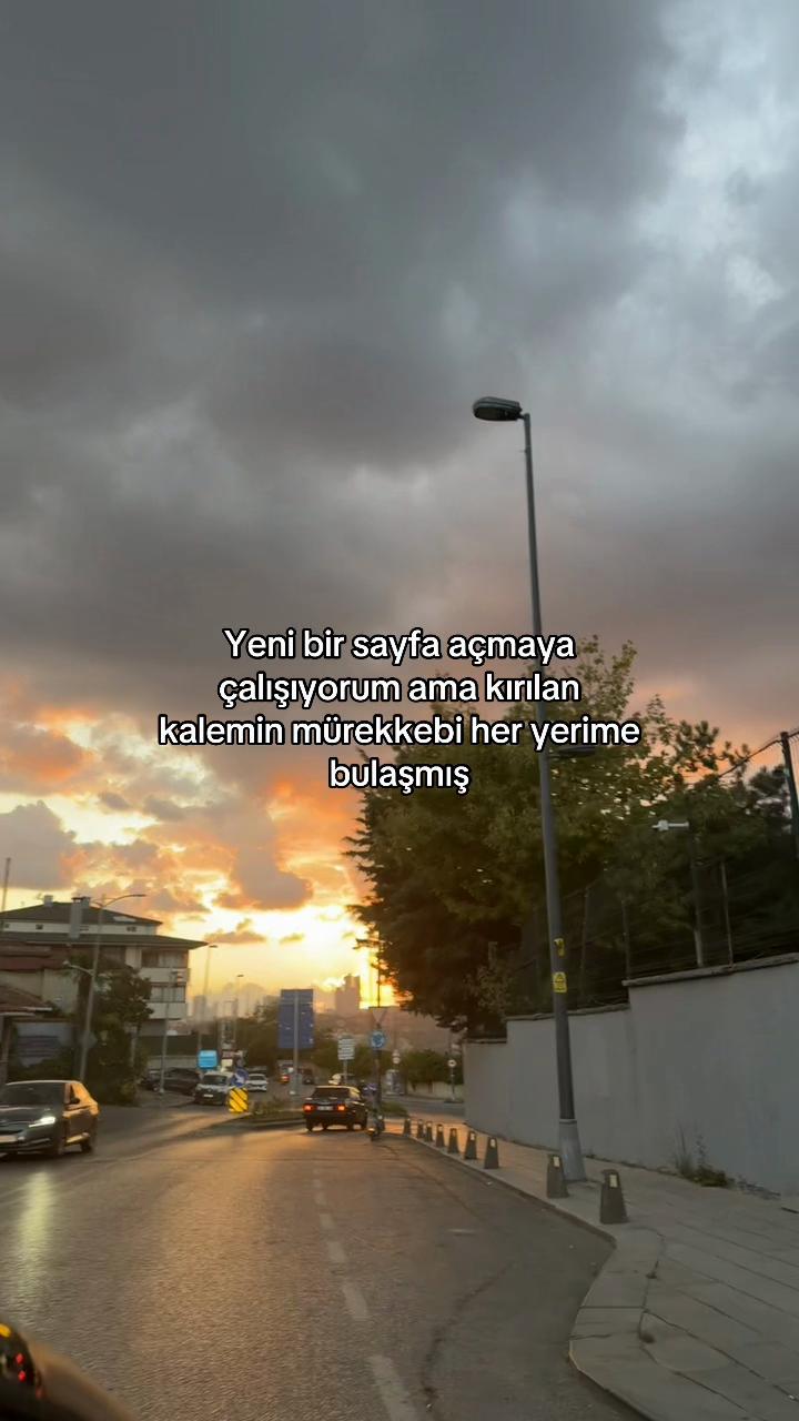 @diilaraalsan