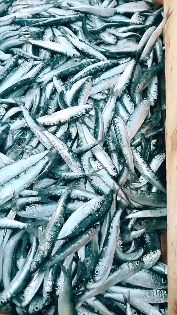 @Fouad p&ecirc;cheur