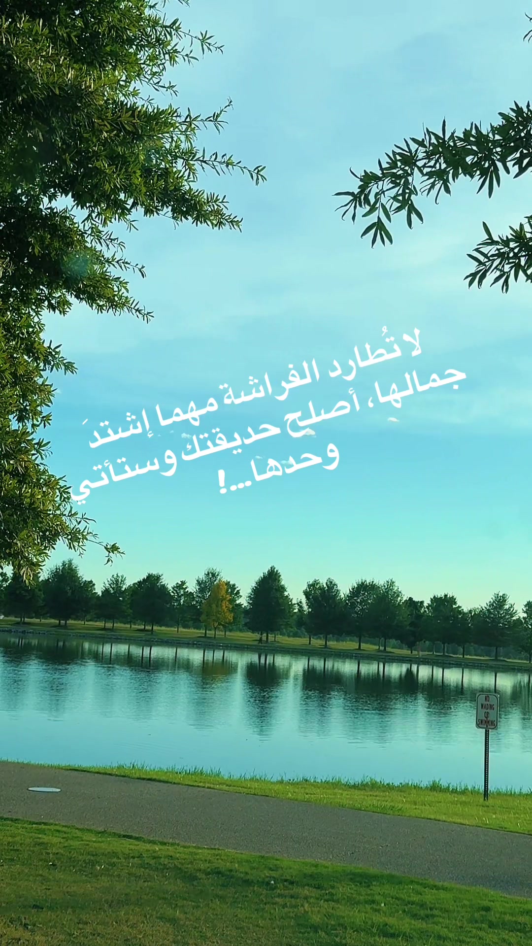@Rosa Nabali