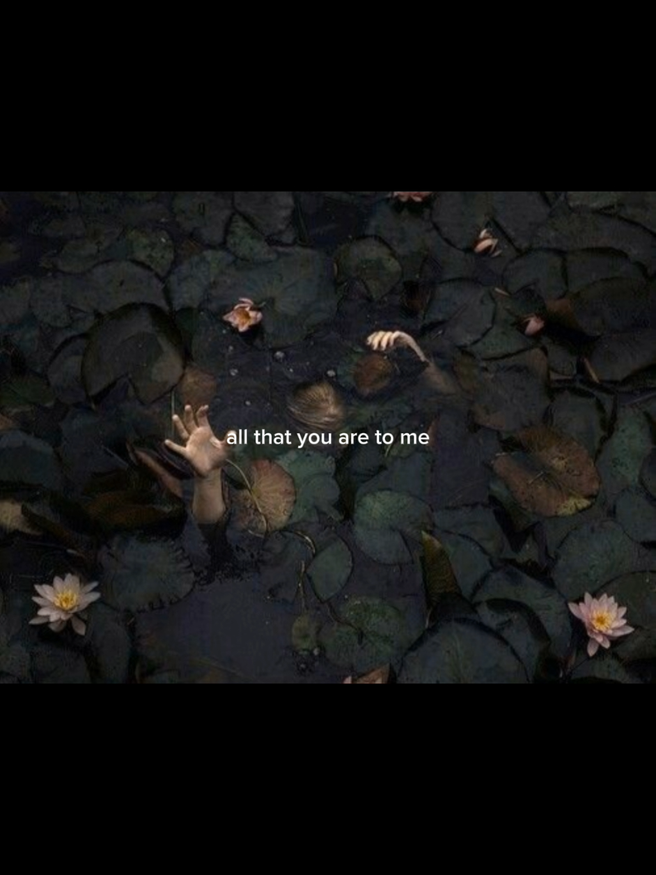 @Lynn ☾