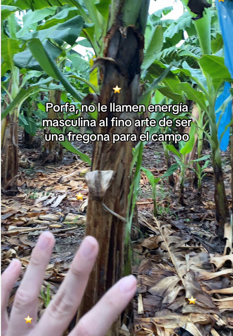 @Mujer Agr&iacute;cola