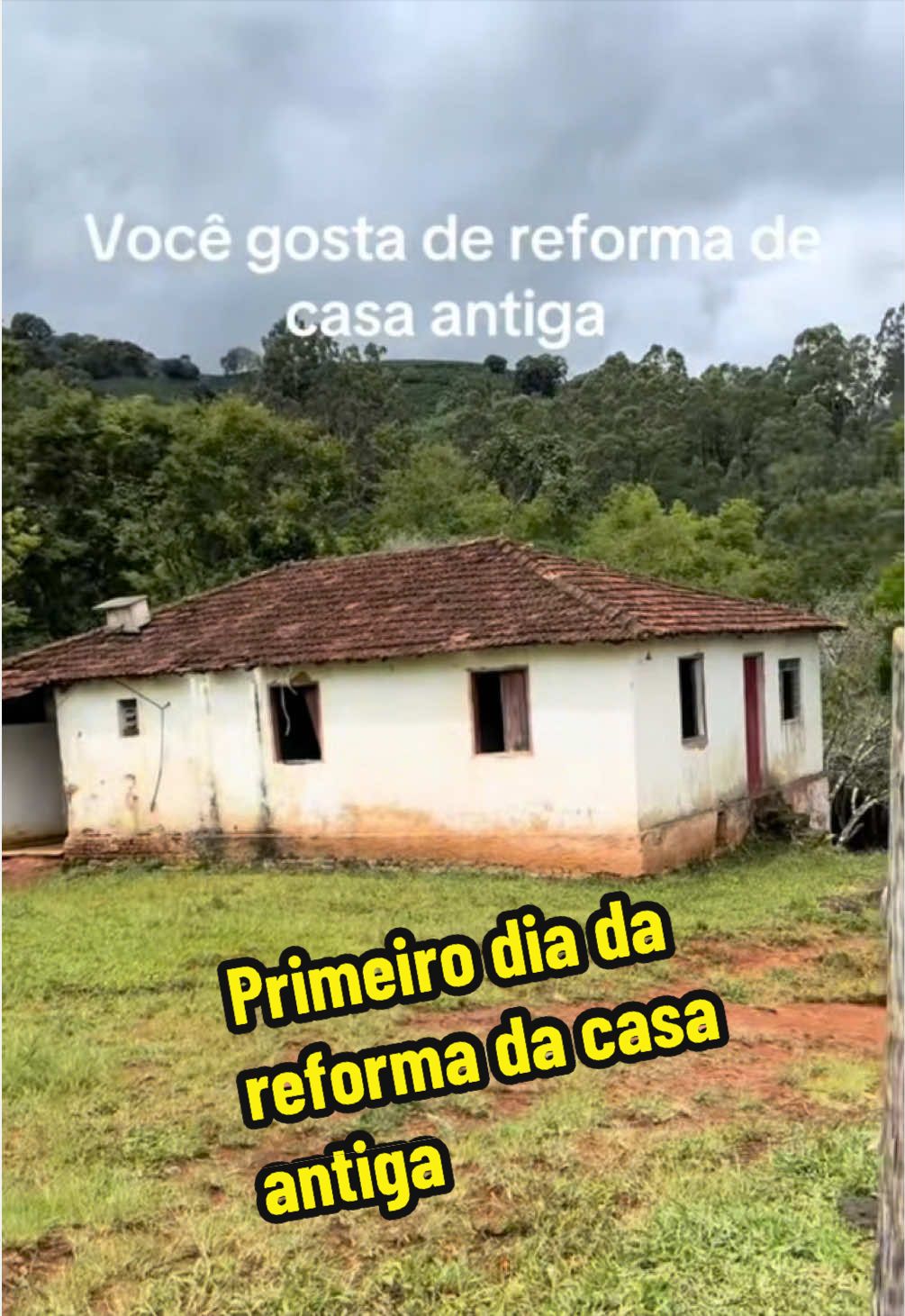 @Silvana Franco /vida na ro&ccedil;a