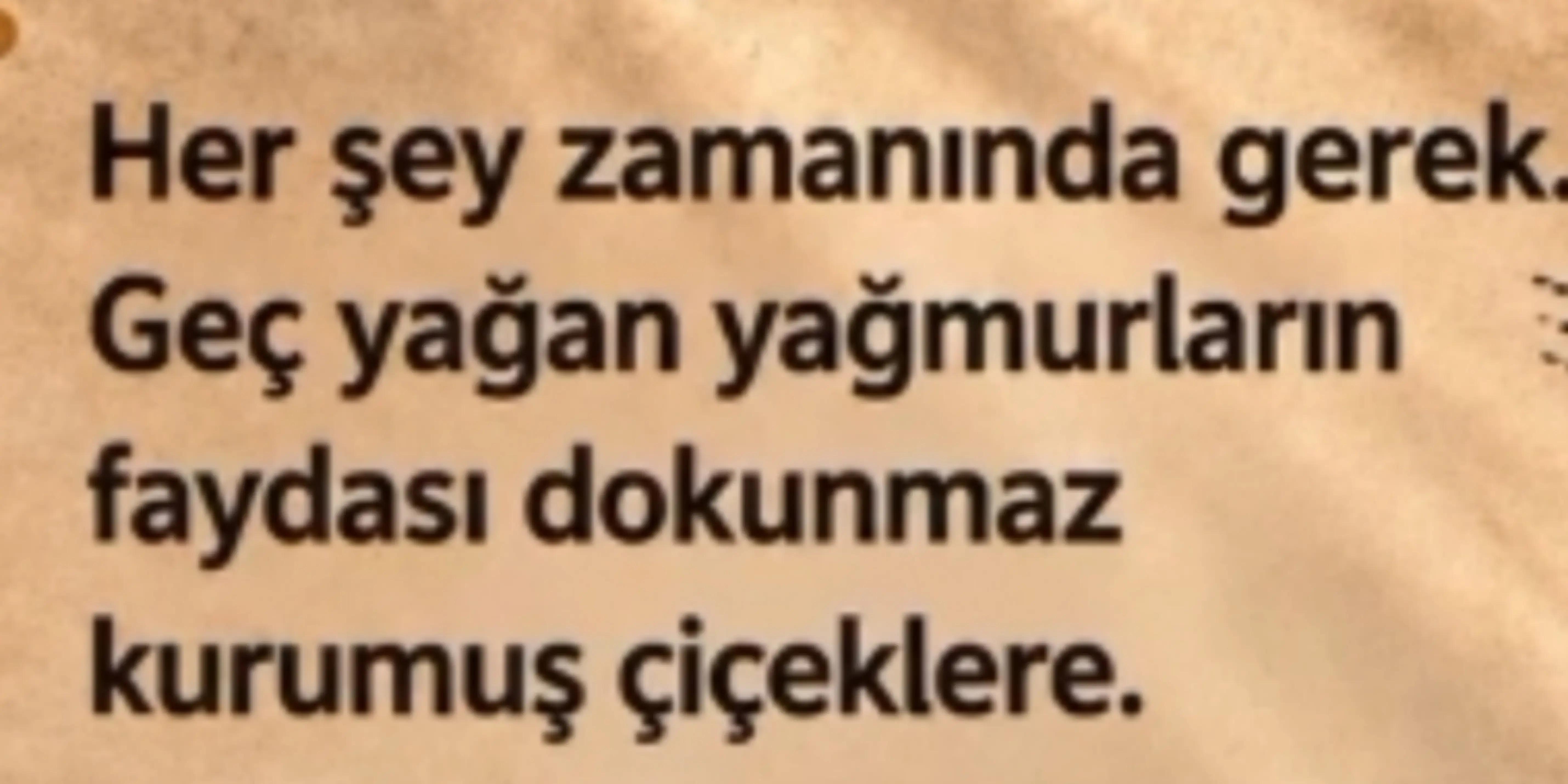 @M.SalihYılmaz -krdnzl*gezgin