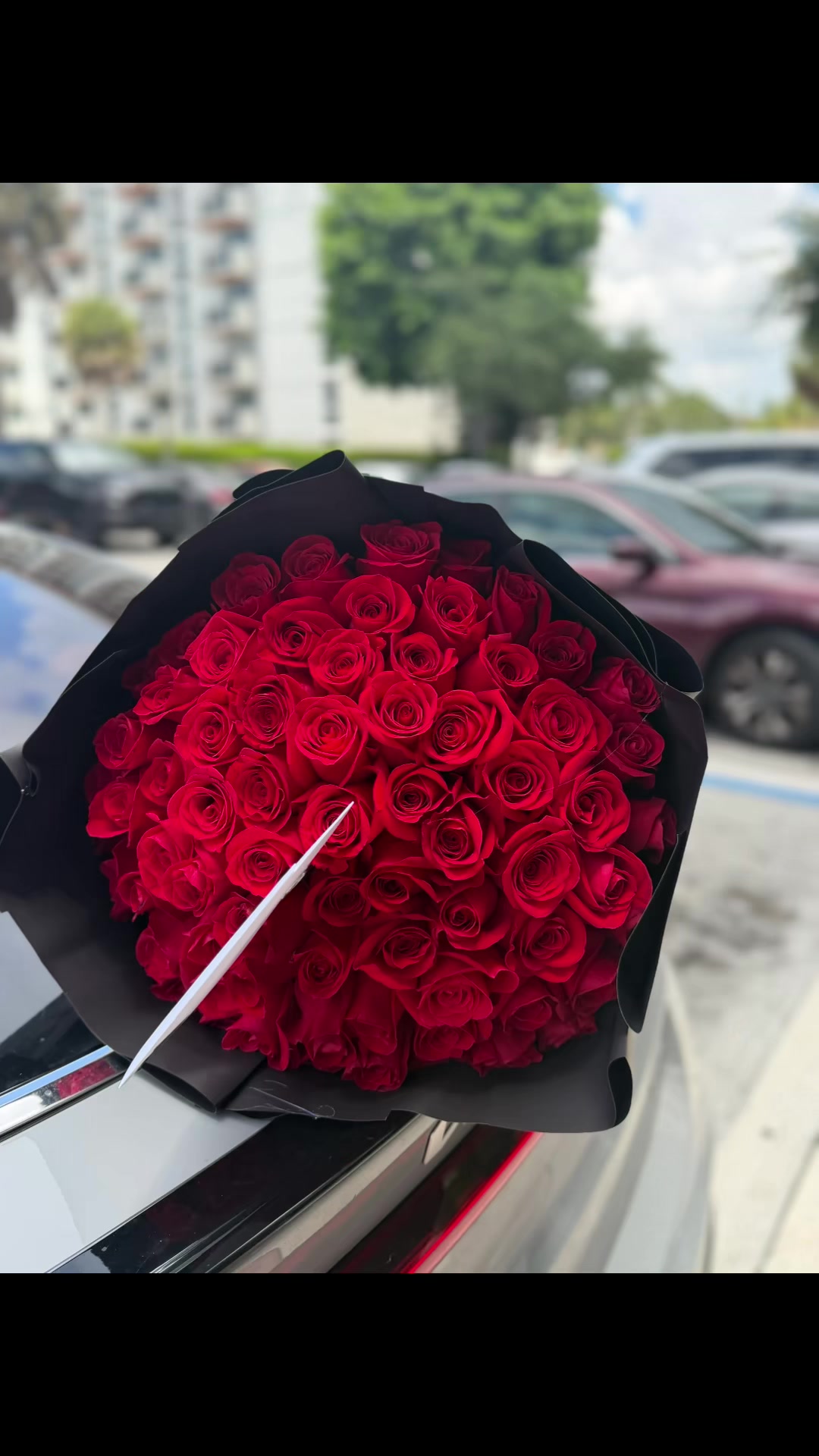 @😍💕Thalie🤍😘