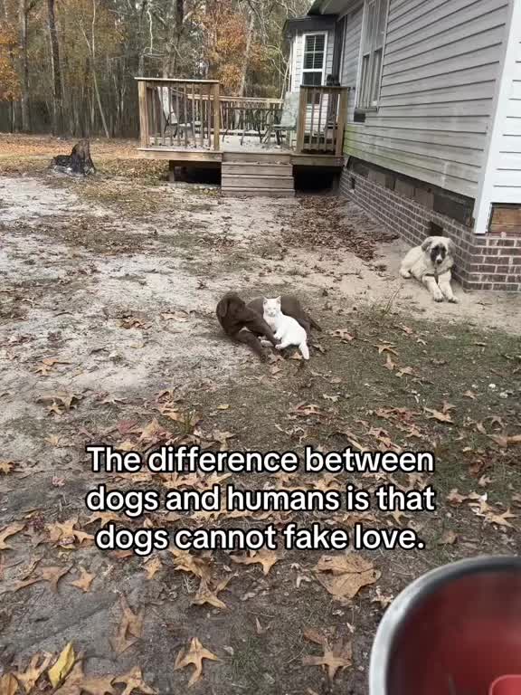 @miricountrylife