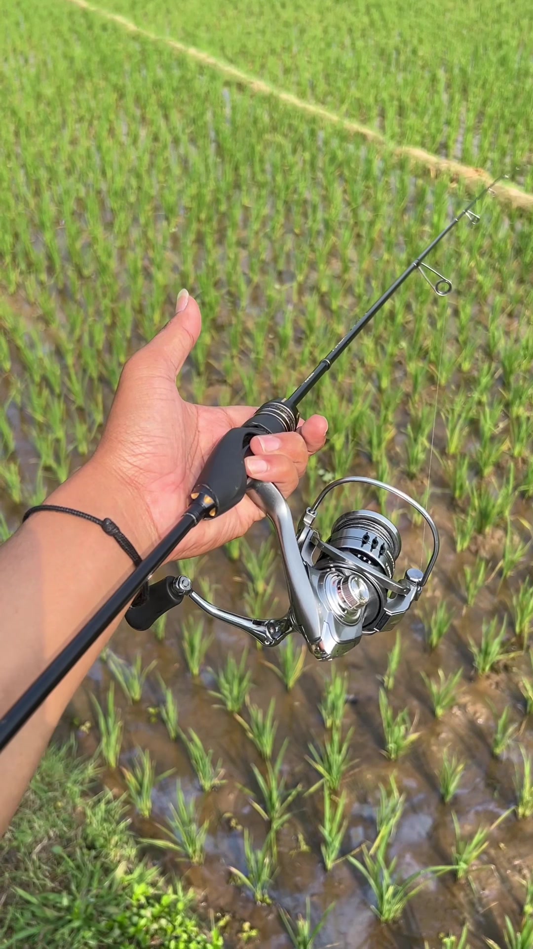@unclemancing