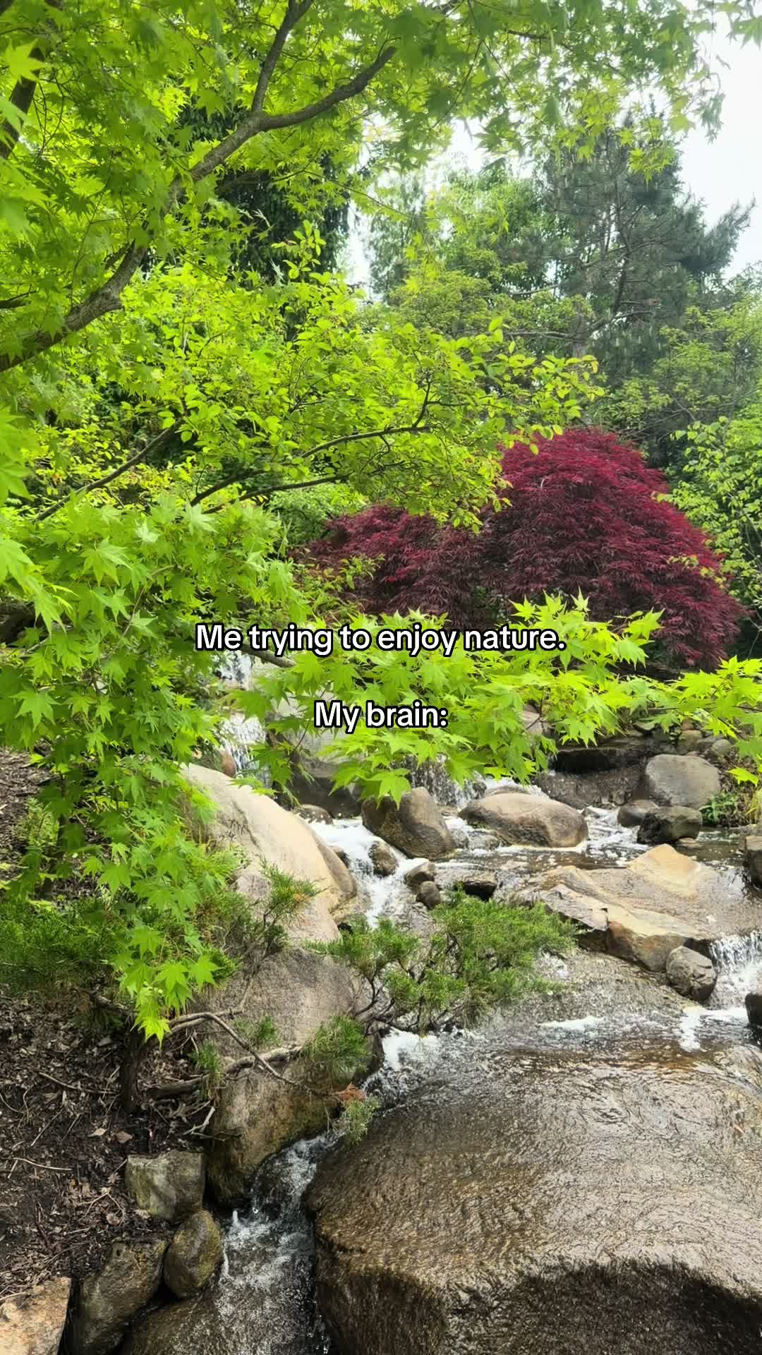 @Meijer Gardens