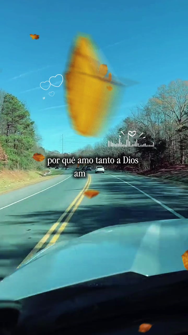@Maynor Vicente