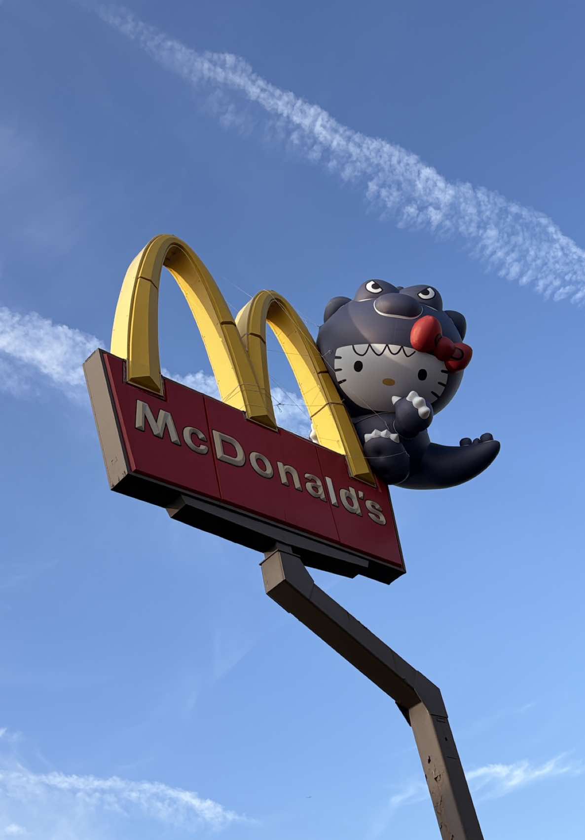@⋆˚𝜗𝜚 𝒥𝑜𝒸𝑒𝓁𝓎𝓃 𝜗𝜚˚⋆