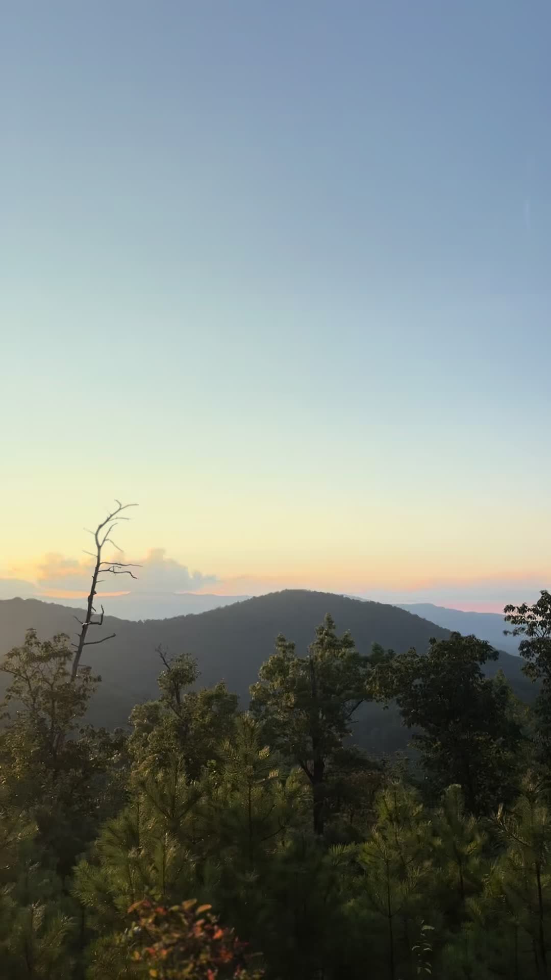 @🌾𝓜𝓪𝓼𝓸𝓷𝓮𝓿𝓪𝓷𝓼🌾
