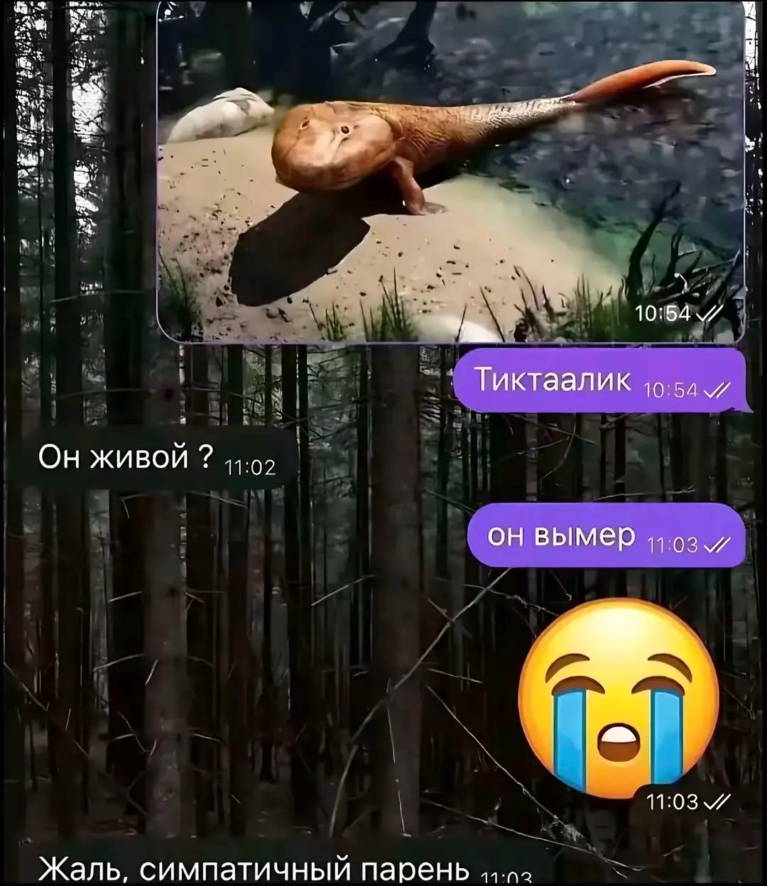 @kemerobobo