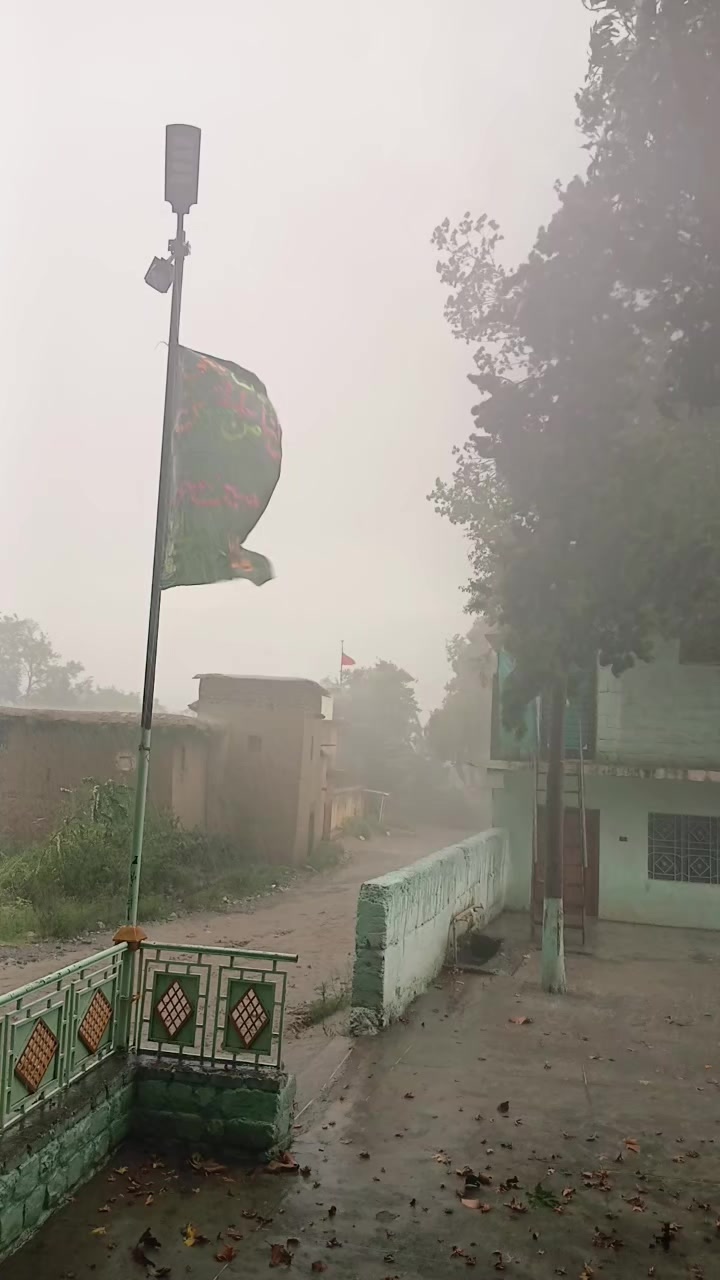 @SYED KAZMI