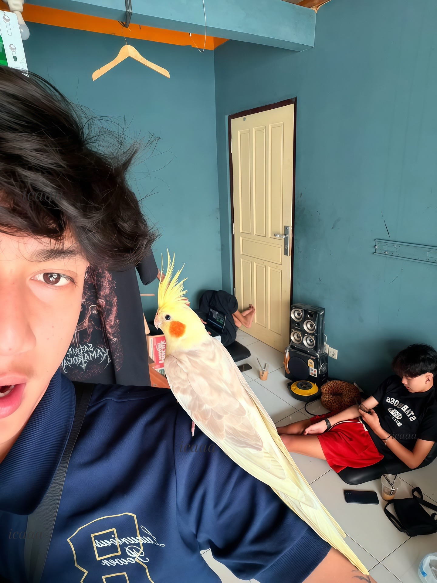 @icaaaaaca