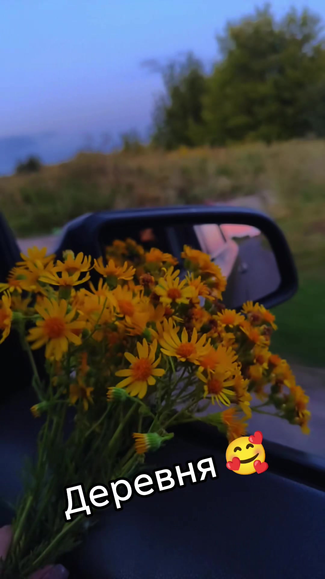 @Dinochka