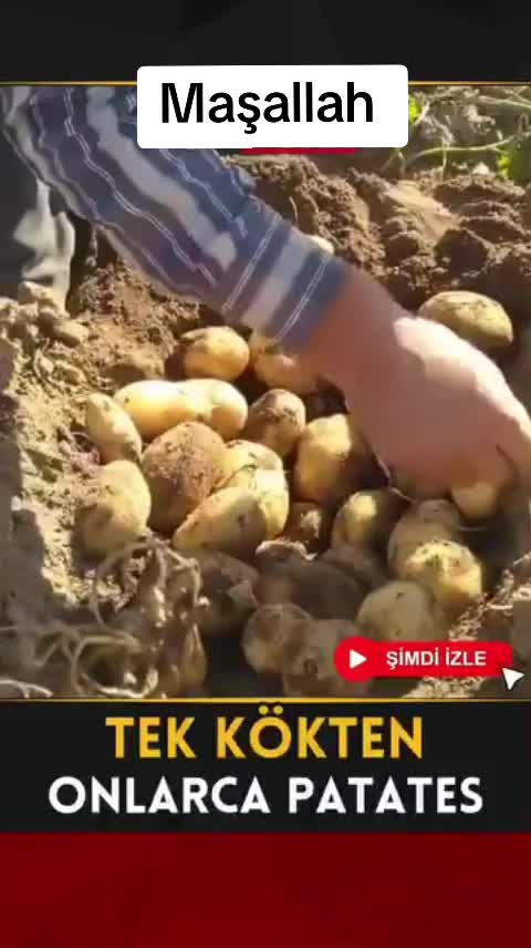 @yılmaz &Ccedil;etinkaya