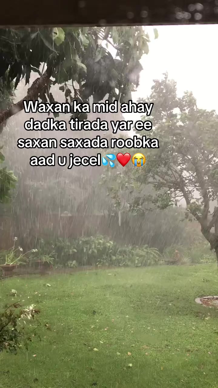@💧NEMRII🐺🖤