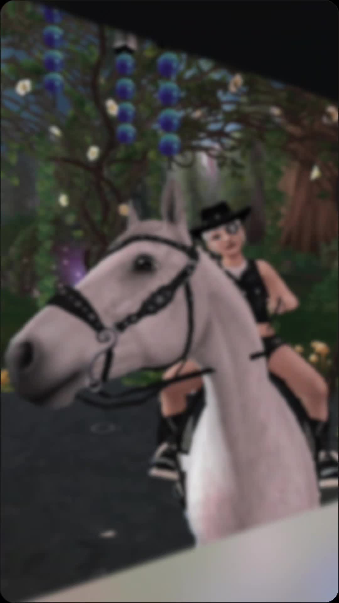 @✨Andrea ✨🐴