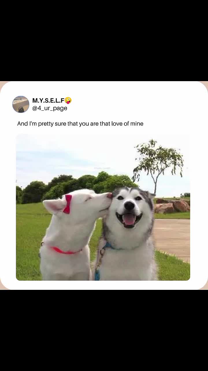 @M.Y.S.E.L.F🤪
