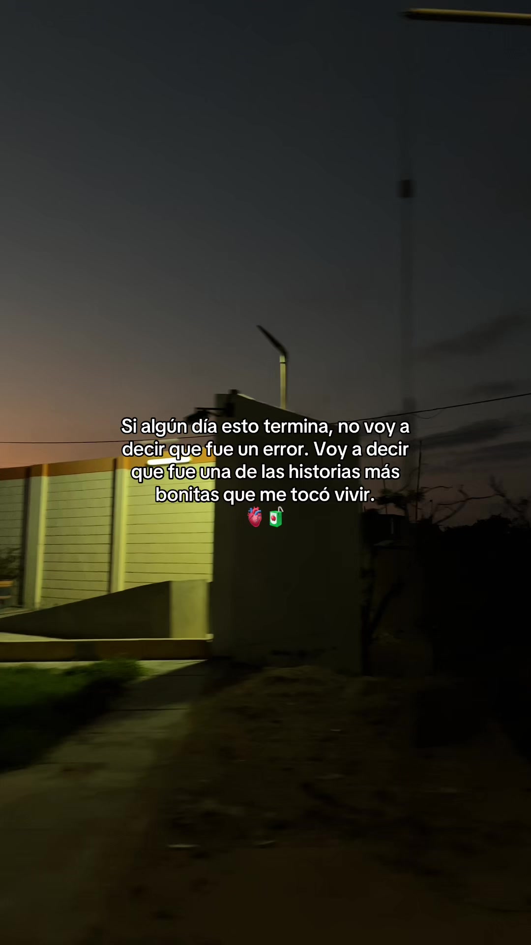 @Gatocix 🐱