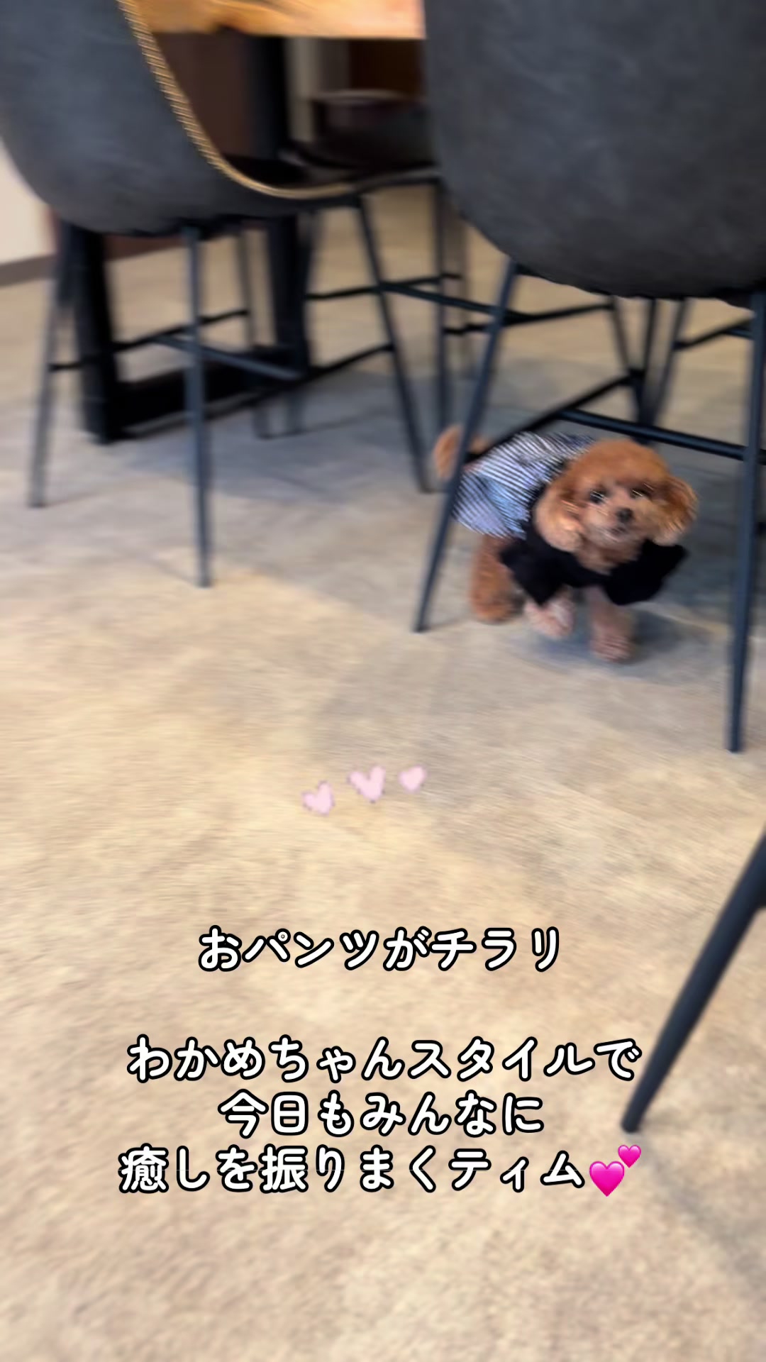 @Wag_nakashibetsu