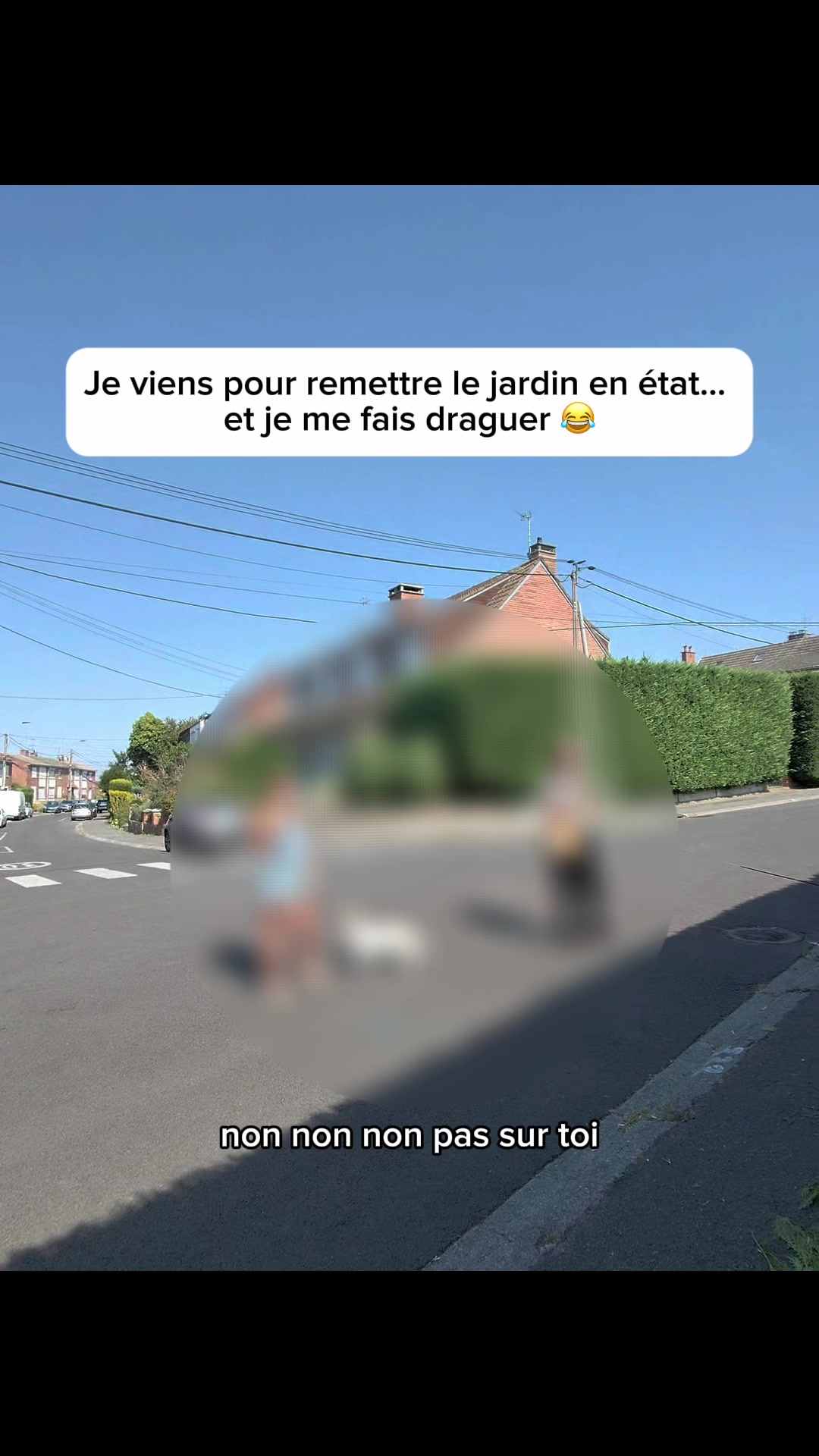 @Steve Le Jardinier