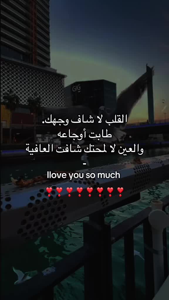 @تايقر- Tiger🌟