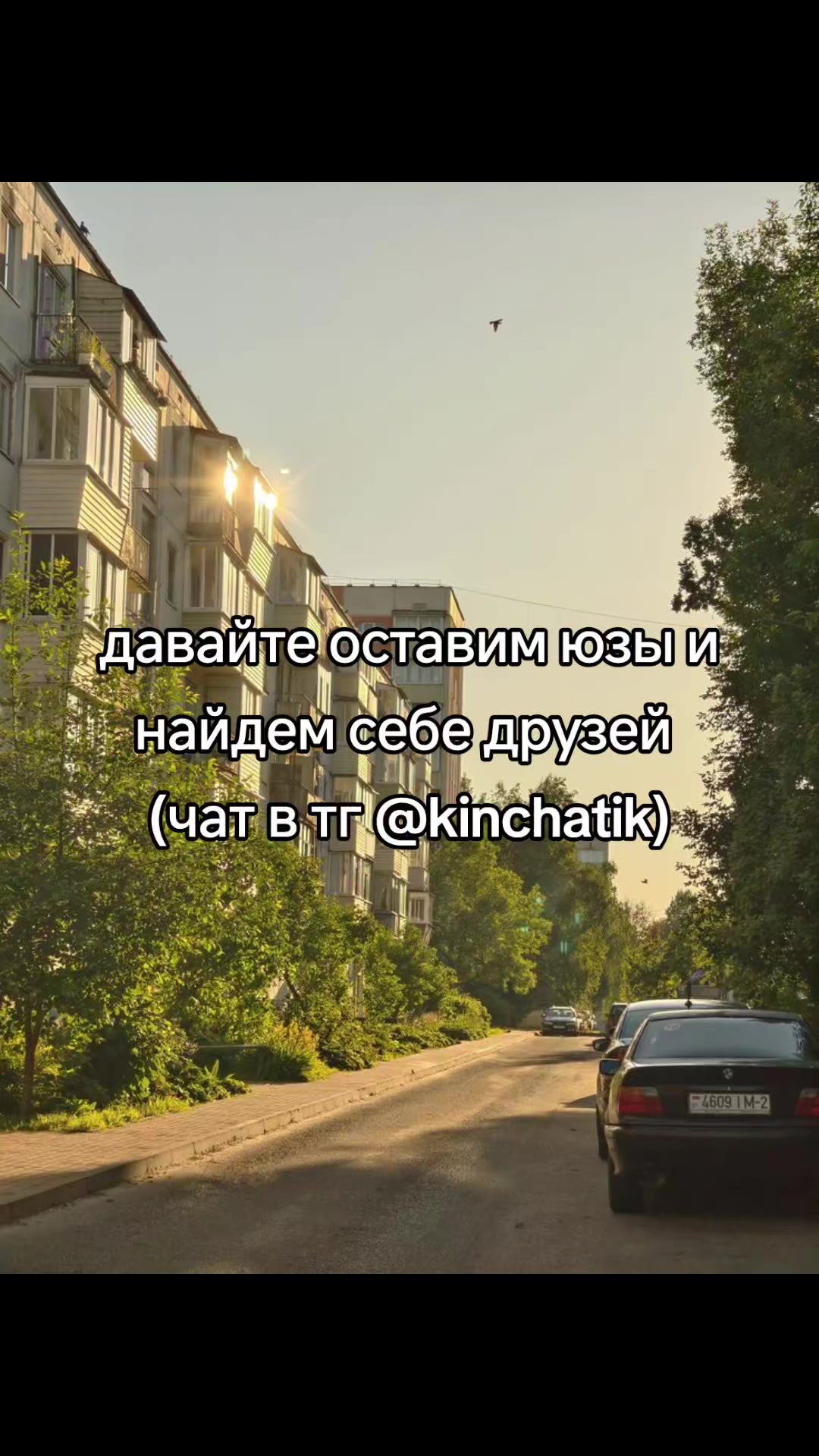 @cqtagger