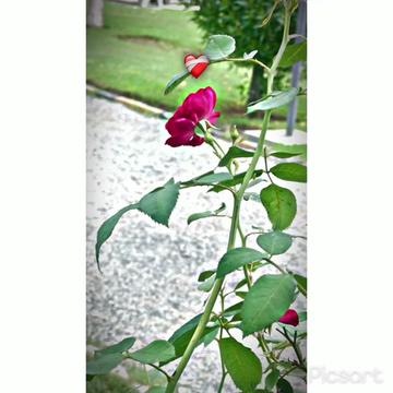 @فہد < ❤️&zwj;🩹