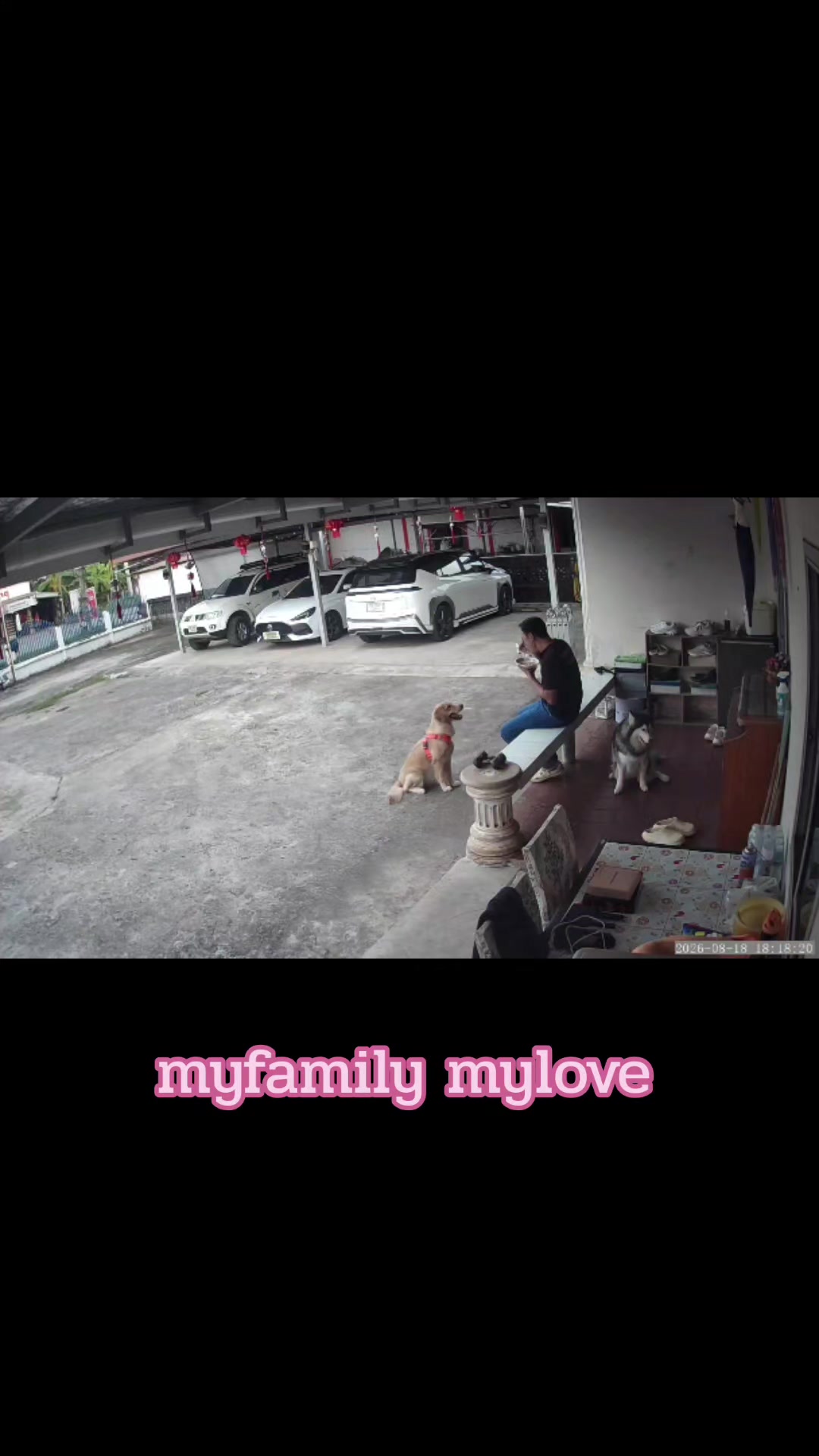 @My Family MP