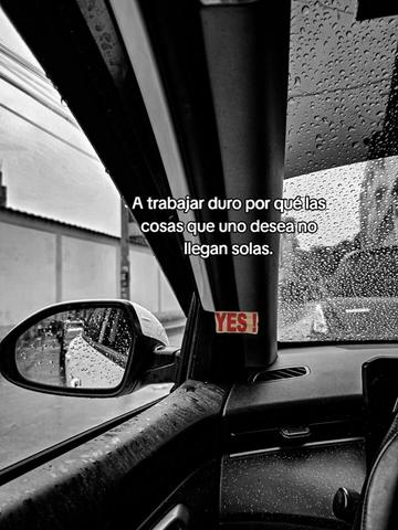 @💯💪❤️🔥Wily Vicente🐦🔥🌻💛