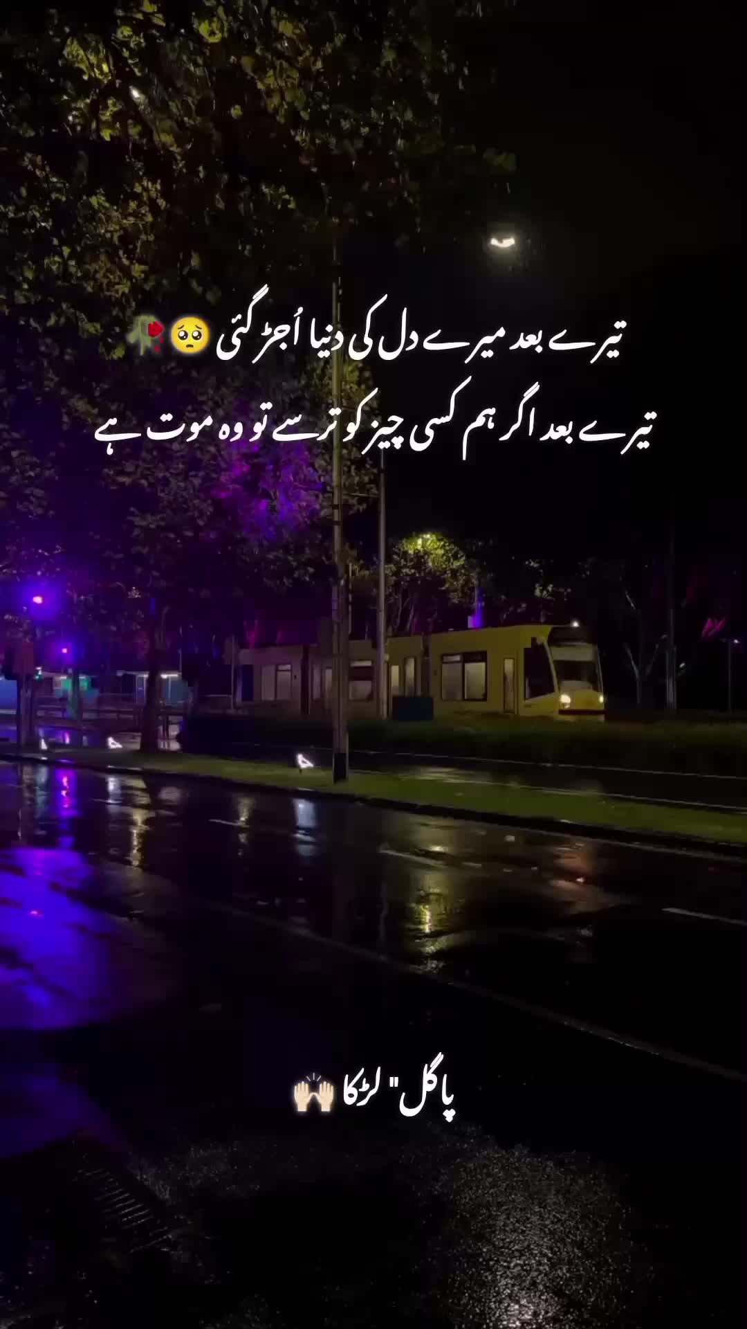 @پاگل لڑکا 🤍🥀