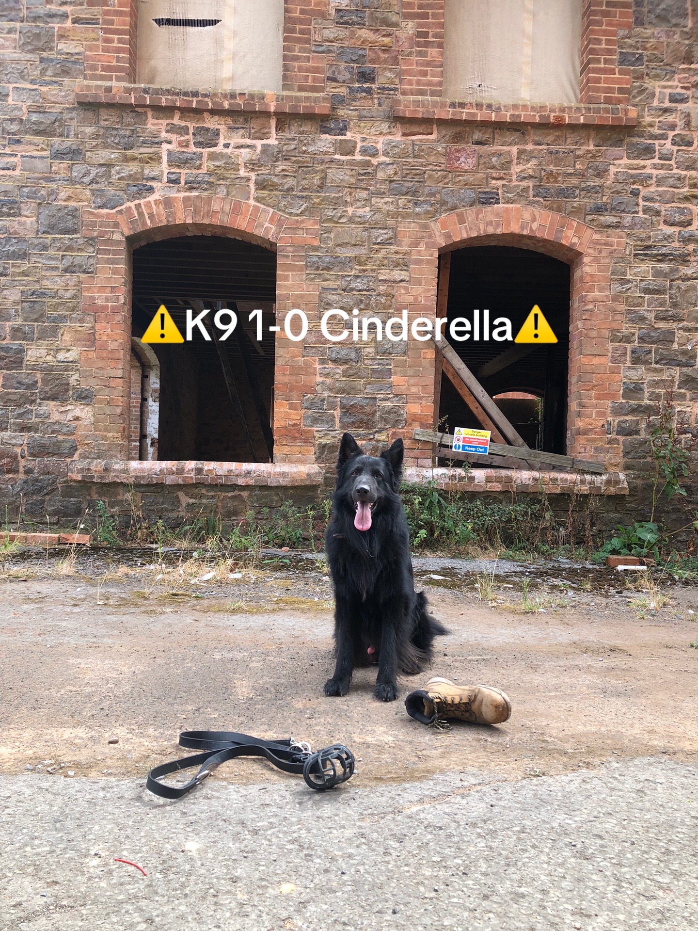 @🐶West Country K9s🐶