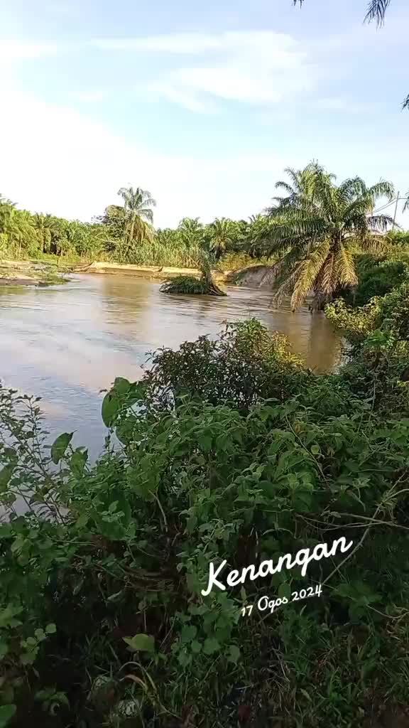 @Toman_Rimba_ll