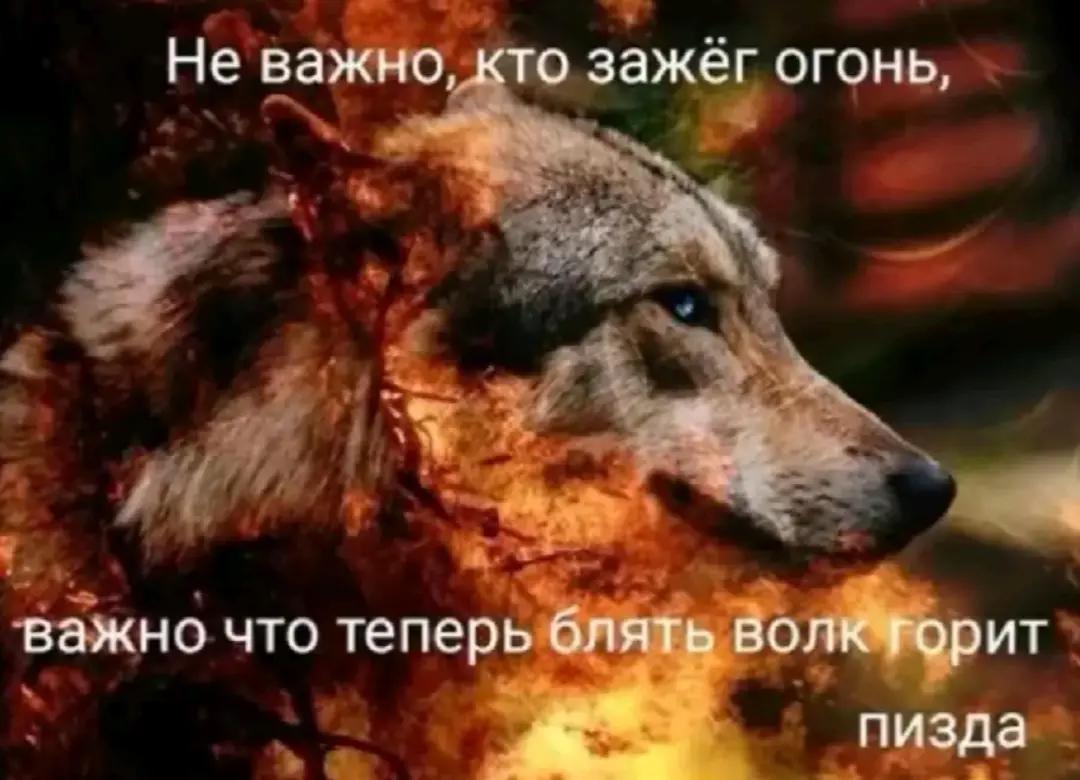 @Зеленый