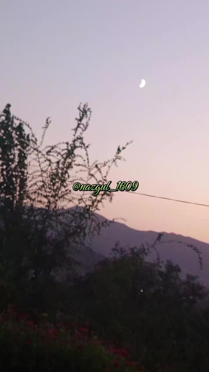 @💫nazgul_1609💫✅