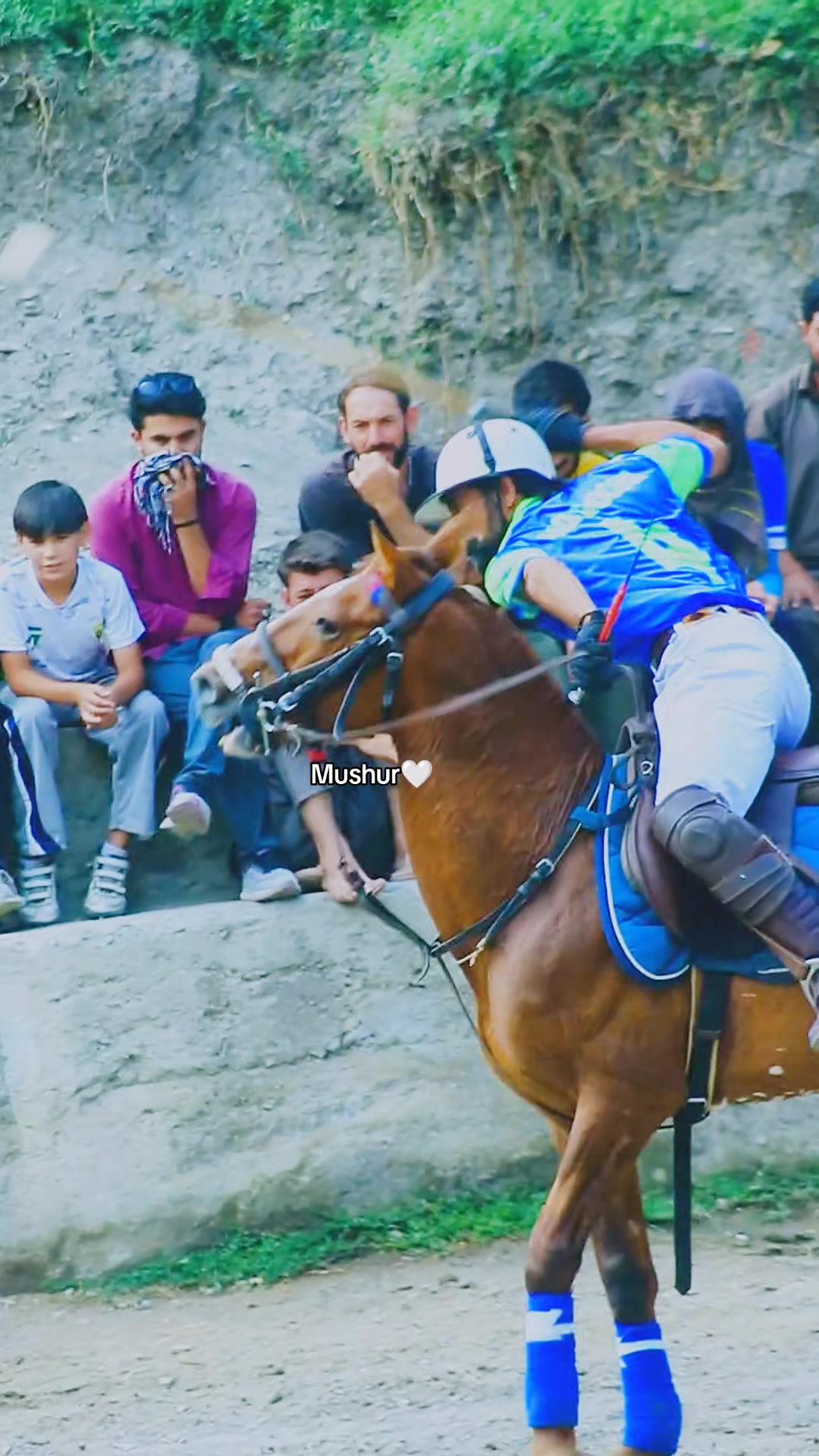 @️POLO ARCHIVE 👀🐴