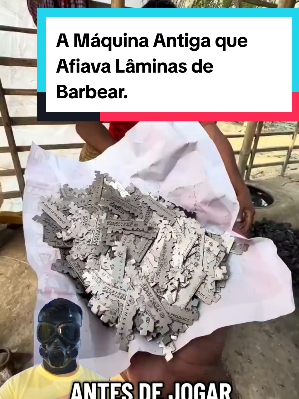 @Mundo da Curiosidades