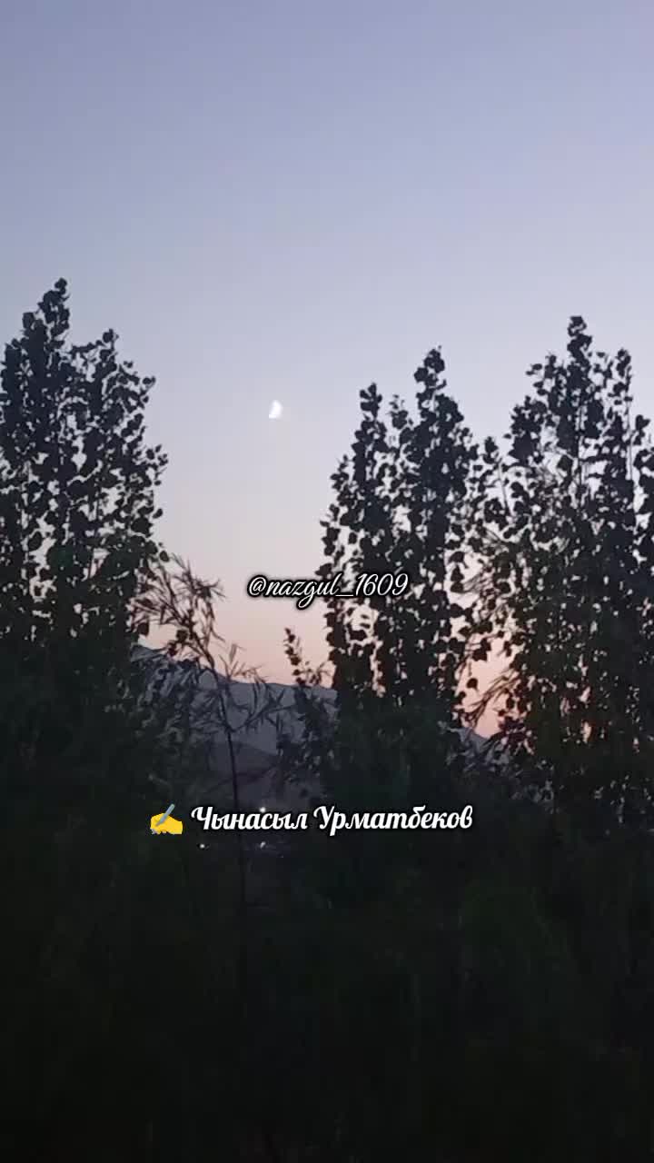 @💫nazgul_1609💫✅