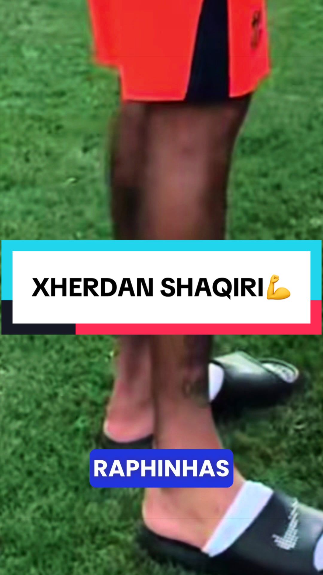 @Dardanidrizi