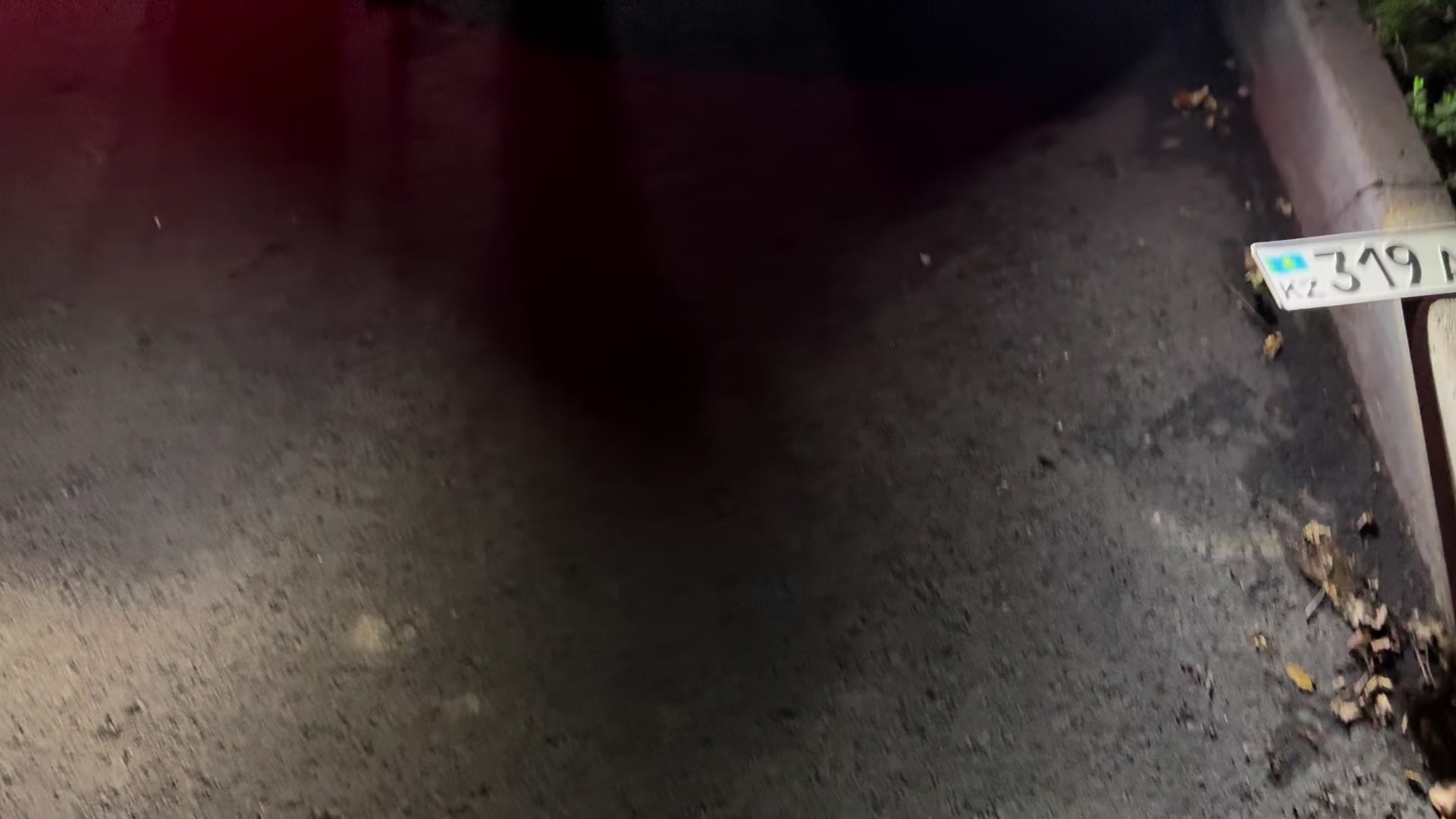 @alishka🧃