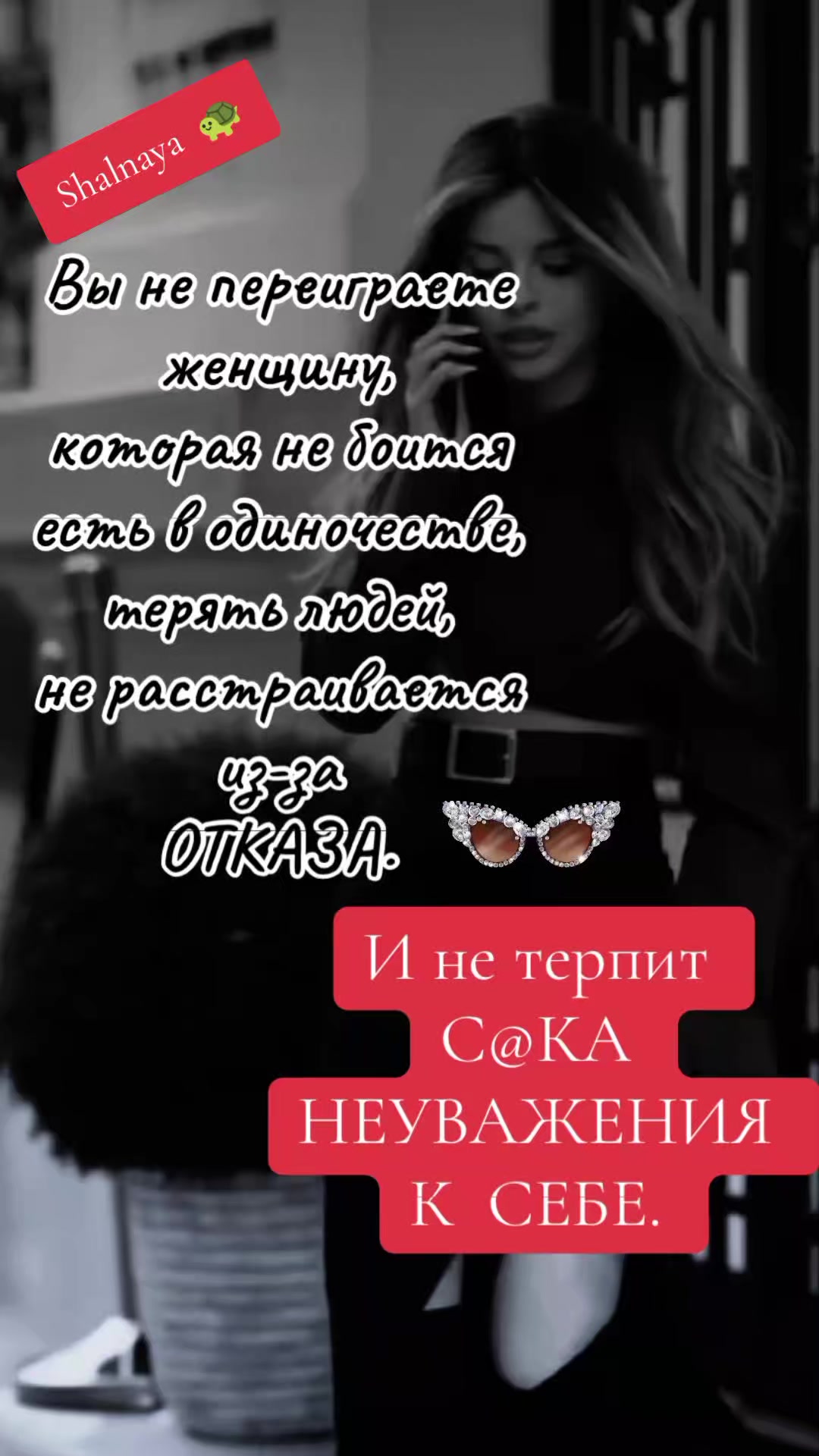 @Шальная 🐢🐢🐢
