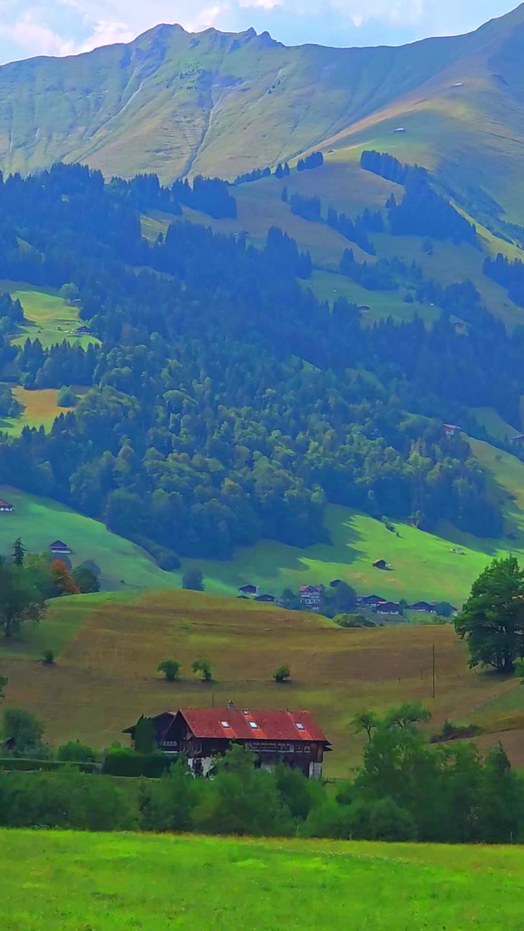 @🇨🇭flores  S&eacute;rgio 🇵🇹