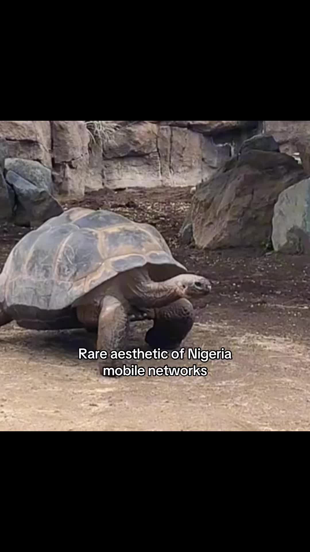 @Naytern