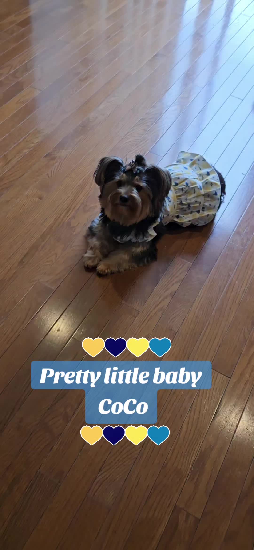 @Prince Loves CoCo